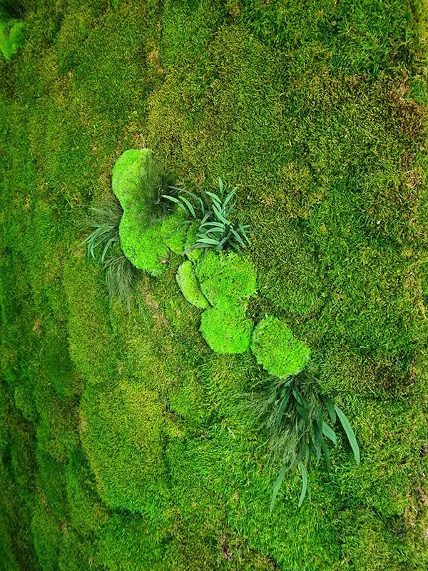 Jardines Verticales